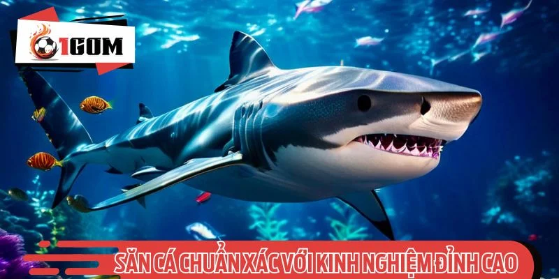 Săn cá chuẩn xác với kinh nghiệm đỉnh cao từ chuyên gia