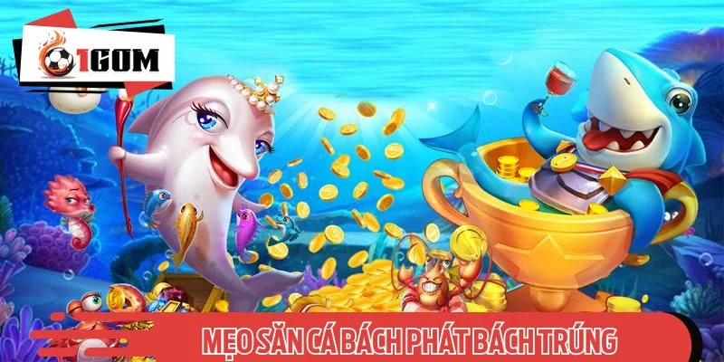 Bỏ túi những mẹo săn cá bách phát bách trúng từ cao thủ