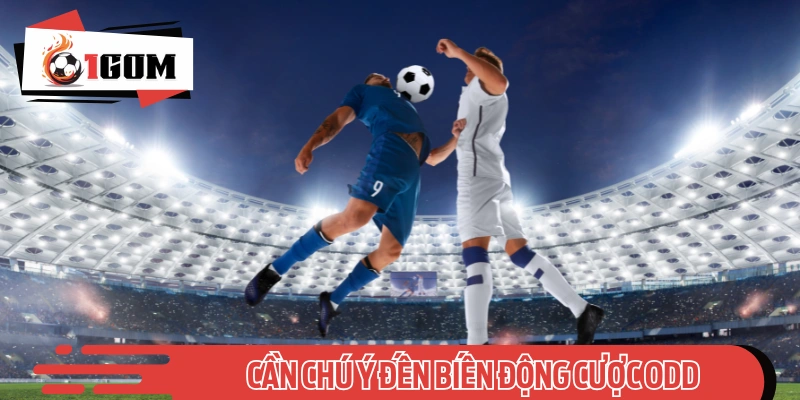 Lưu ý đến biến động odd