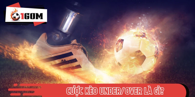 Review nhanh qua đặc điểm của các loại kèo tài xỉu