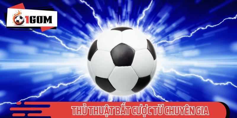 Mẹo soi cược hay từ cao thủ