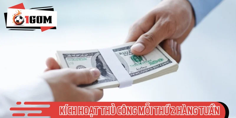 Kích hoạt thủ công mỗi thứ 2 hàng tuần