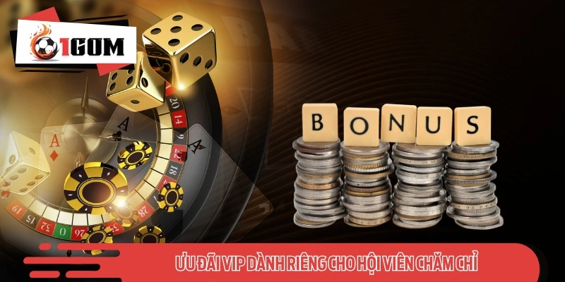 Ưu đãi VIP dành riêng cho hội viên chăm chỉ