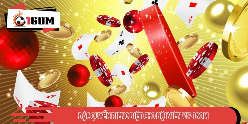 Đặc quyền riêng biệt cho hội viên VIP 1GOM