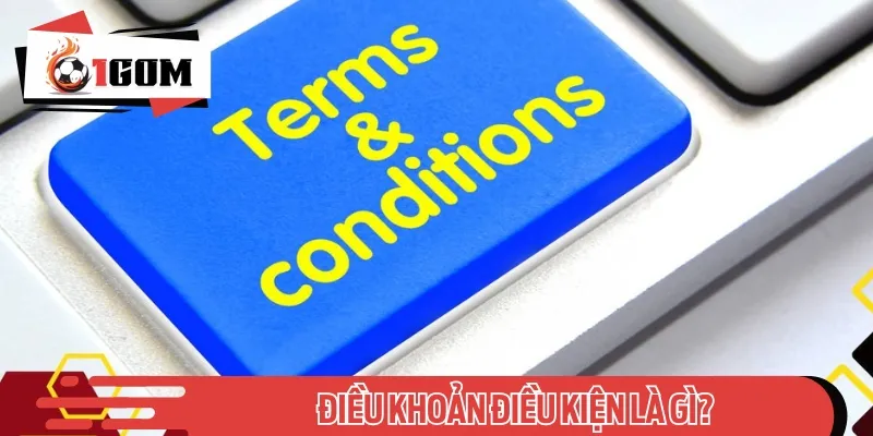 Các điều khoản điều kiện là quy định mà cả hội viên, nhà cái đều tuân thủ