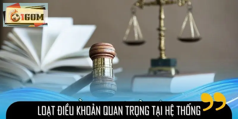 Loạt điều khoản quan trọng tại hệ thống